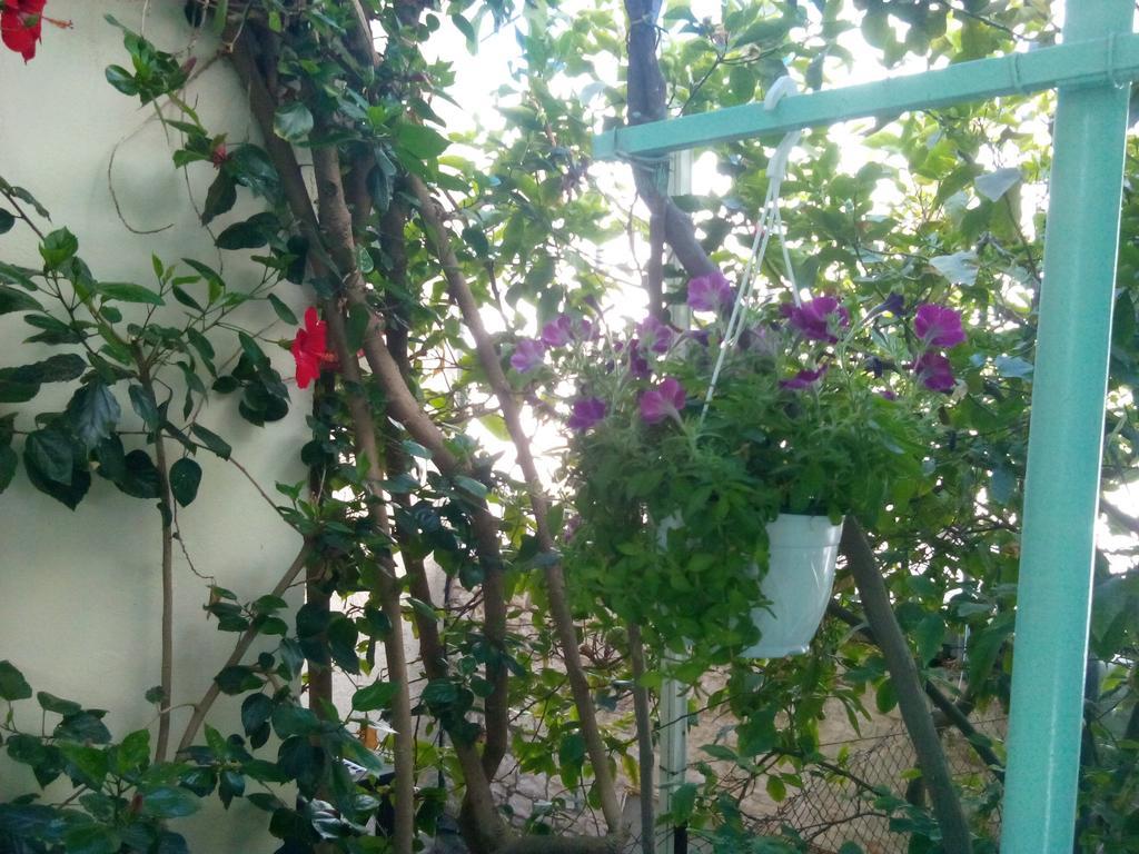 Mary'S Studios Agia Pelagia Dış mekan fotoğraf